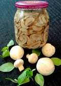 تصویر 1 از خرید عمده کنسرو قارچ دکمه ای 400 گرمی + قیمت استثنایی